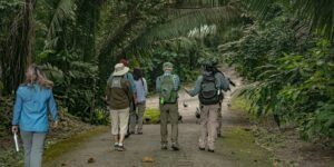 hiking in belize 1400x700